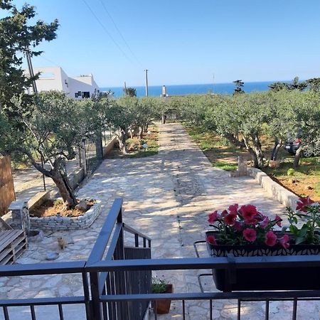 Villa L'Orizzonte Di Calabianca Castellammare del Golfo Exteriör bild