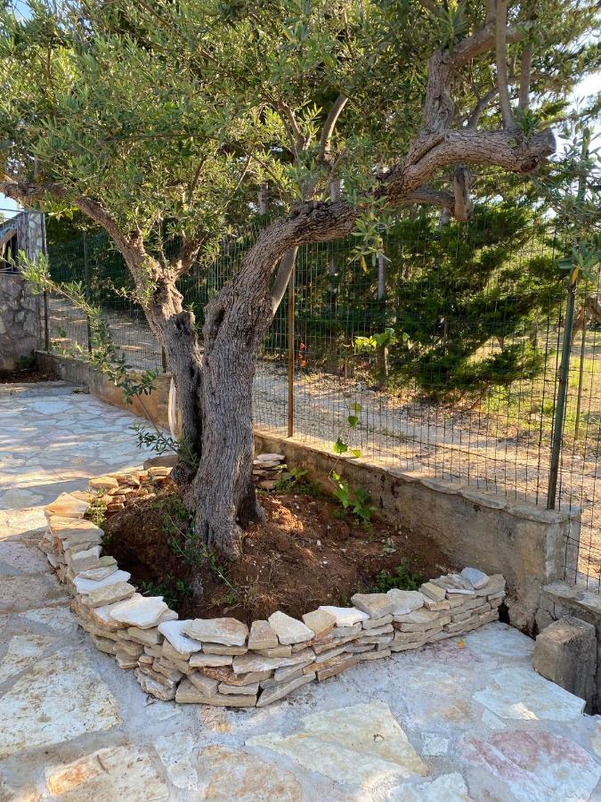 Villa L'Orizzonte Di Calabianca Castellammare del Golfo Exteriör bild