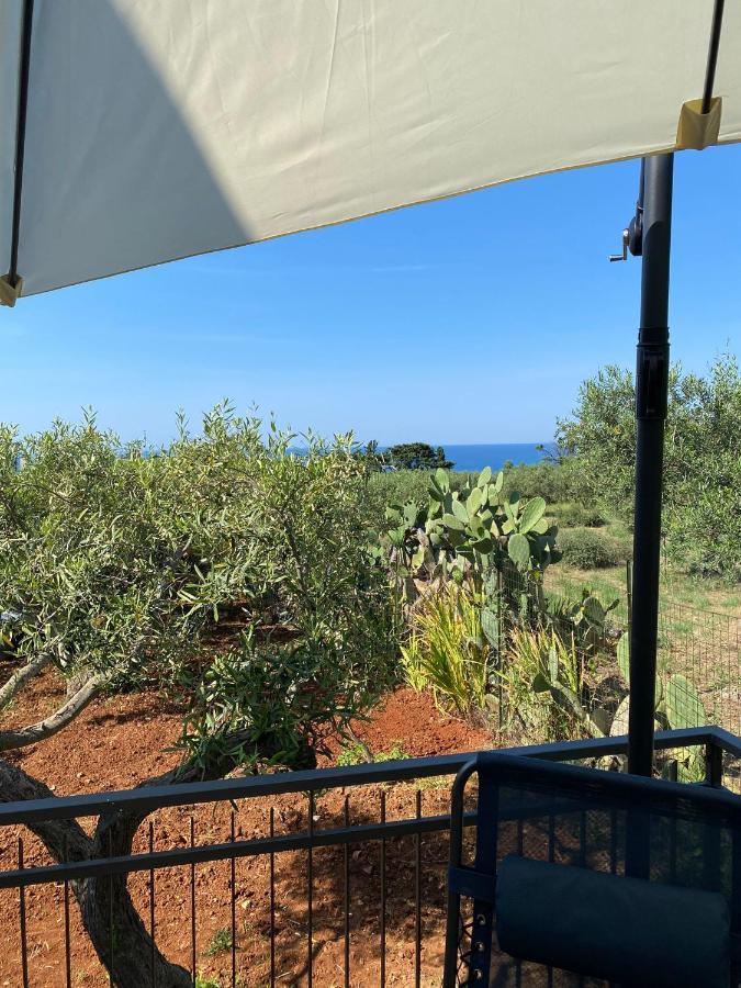 Villa L'Orizzonte Di Calabianca Castellammare del Golfo Exteriör bild