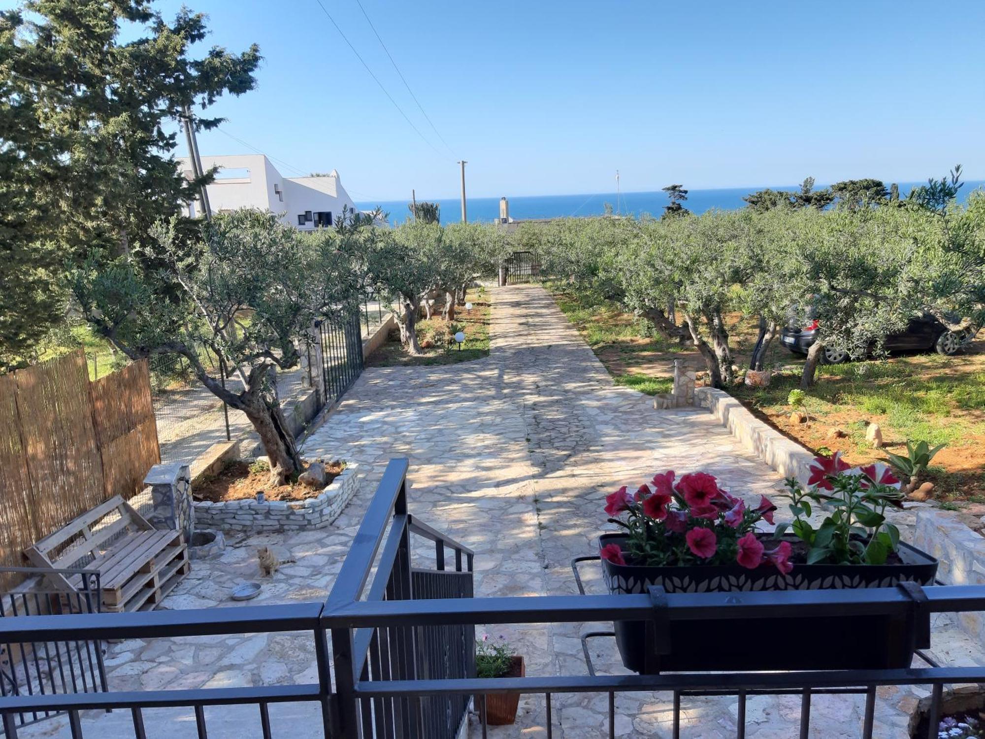 Villa L'Orizzonte Di Calabianca Castellammare del Golfo Exteriör bild
