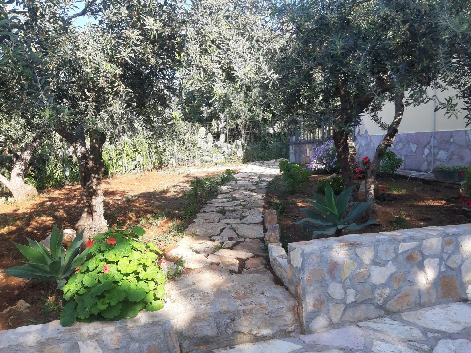 Villa L'Orizzonte Di Calabianca Castellammare del Golfo Exteriör bild
