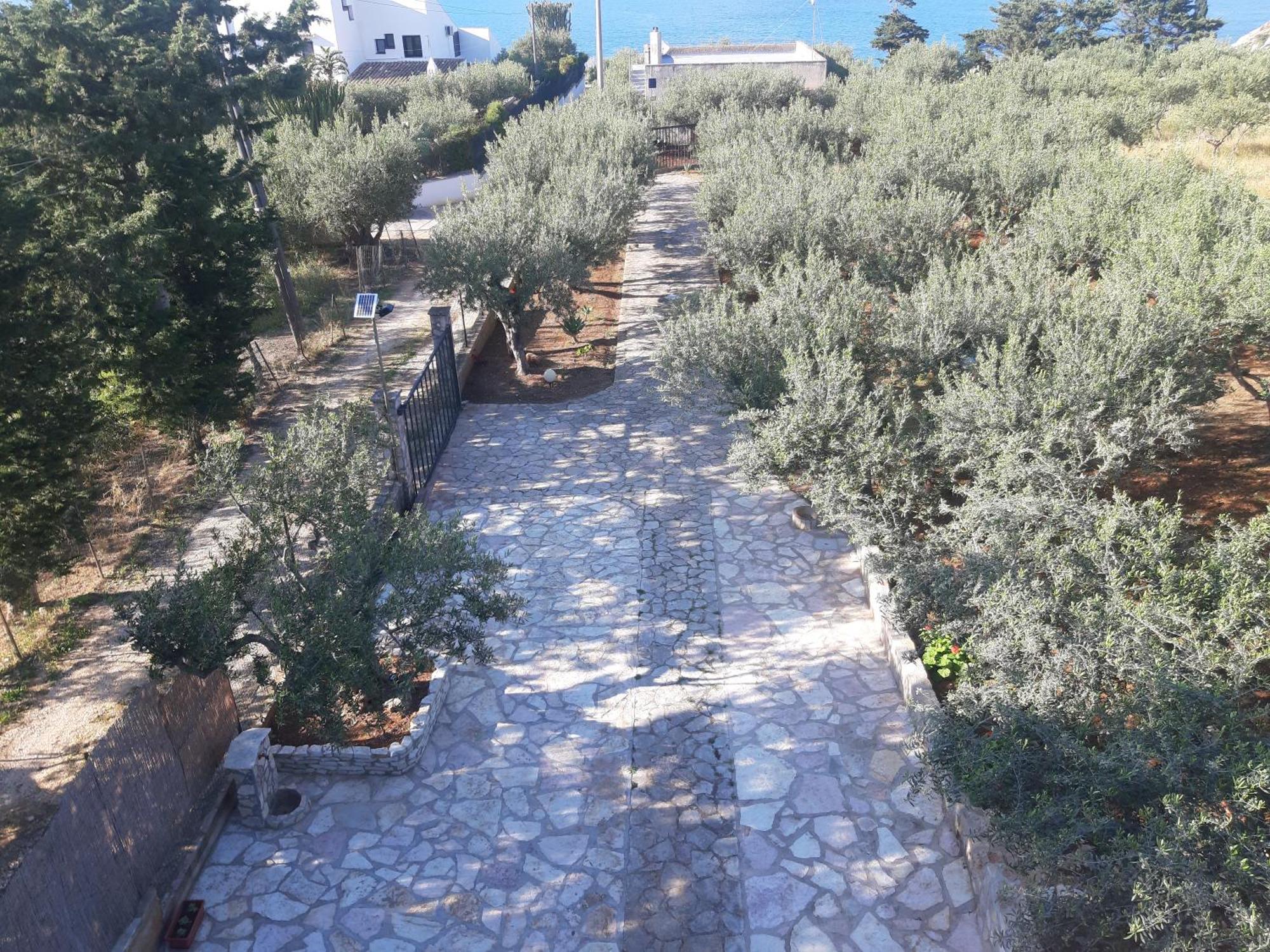 Villa L'Orizzonte Di Calabianca Castellammare del Golfo Exteriör bild